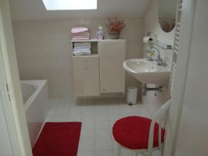 a bathroom with a sink and a red rug at Valckesteyn in Poortugaal