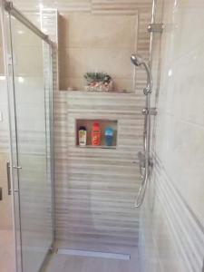 um chuveiro com uma porta de vidro na casa de banho em Apartment Branko em Drage