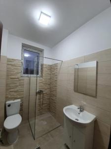 a bathroom with a toilet and a sink at GARSONIERRE CENTRAL LUXURY in Târgu Jiu