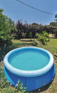 een groot blauw bad in een tuin bij Verdemar in La Paloma