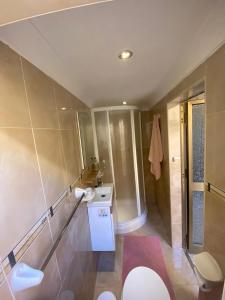 ein Bad mit einem WC, einem Waschbecken und einer Dusche in der Unterkunft Arzella Holiday Home in Birżebbuġa