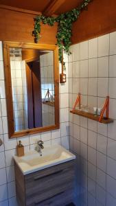 een badkamer met een wastafel en een spiegel bij Casa Tranquila in Ooij