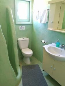 a green bathroom with a toilet and a sink at Villa Kampos Naousa-Marpisa in Ambelas