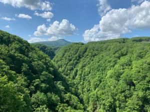 度假屋周边自然景观