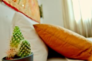 Fotografie z fotogalerie ubytování Apartamentos Puerta Real Sevilla v destinaci Seville