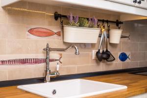 a kitchen counter with a sink and some plants at EGLI LUXURY APARTMENTS in Archangelos
