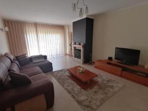 a living room with a couch and a tv at Apartamento Rua da Amizade in Felgueiras