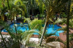 una piscina con palme in un resort di Arco Íris Pousada a Ilha Comprida