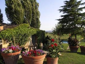 A garden outside Villa Casalunga