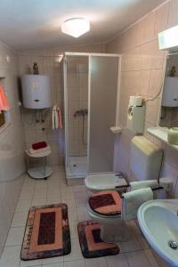 W łazience znajduje się prysznic, toaleta i umywalka. w obiekcie Pineta w mieście Gračišče