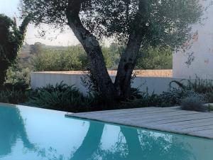 Πισίνα στο ή κοντά στο Trullo Piccolo