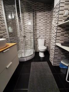 ブダペストにあるKST Apartmanのバスルーム(トイレ、シャワー、シンク付)