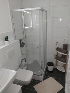 a bathroom with a shower and a toilet at Apartment am Park in Duisburg