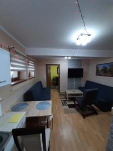 Televízia a/alebo spoločenská miestnosť v ubytovaní APARTAMENT ELIZABETH