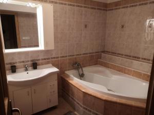 Koupelna v ubytování Apartment Lipno Šumava pro 8 hostů + 32 fotografií