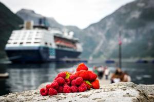 a pile of raspberries sitting on a rock next to a boat at Havila Hotel Geiranger in Geiranger