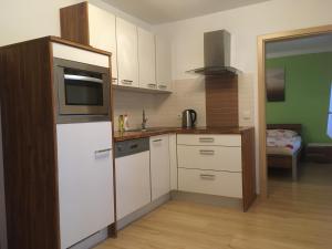 eine kleine Küche mit einem Kühlschrank und einer Mikrowelle in der Unterkunft Harmonie Apartment in Lipno nad Vltavou