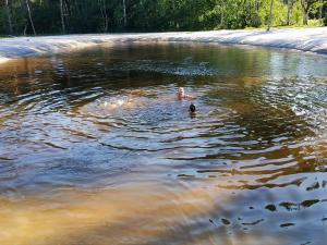 a person swimming in a body of water at Tammemarise in Mändjala