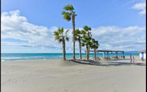 een rij palmbomen op een strand met de oceaan bij Holidays Beach Torrox - 6 in Morche