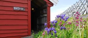 Gallery image of Ringholmen Sjøhus in Leira