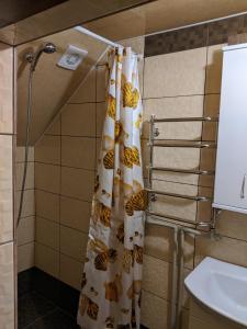 Kylpyhuone majoituspaikassa Gostynna Rodyna