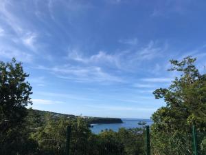 a view of a body of water with trees at Location Vacances in Deshaies +7 photos