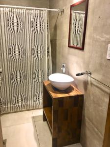 y baño con lavabo y ducha. en Departamento en Luján de Cuyo, Perfecta ubicación para visitar viñedos! en Luján de Cuyo
