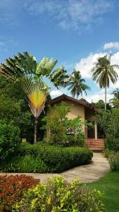 a house with a palm tree in front of it at Bansuanrachawadee B&b in Si Sa Ket