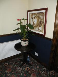Area soggiorno di Buggle's Pub and Accommodation