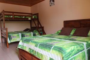 a bedroom with two beds and a bunk bed at CASAMELIAS "Le ficus" in Cilaos
