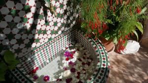 Um jardim no exterior de Dar Sultan