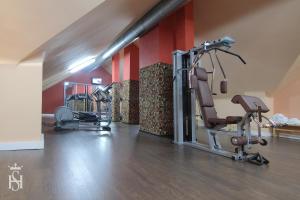 Fitness centrum a/nebo fitness zařízení v ubytování Hospedium Hotel Europa Centro