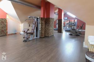 Fitness centrum a/nebo fitness zařízení v ubytování Hospedium Hotel Europa Centro
