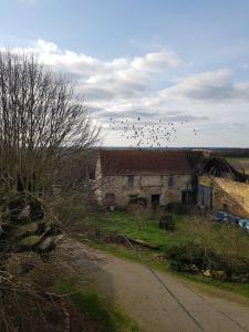 Renaissance في Nohant-en-Graçay: سرب من الطيور تطير فوق مبنى قديم