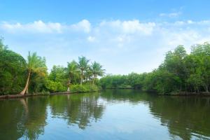 une rivière bordée de palmiers dans l'établissement Global Lake Villa Hikkaduwa, à Hikkaduwa