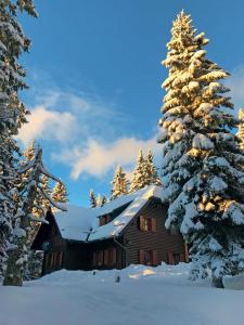 Apartmajska hiša Muštrinka v zimě