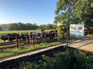 a herd of horses in a field behind a fence at Moo Cow Cottage Self Catering in Oakham