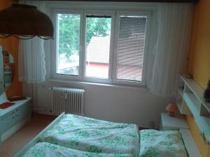 een kleine slaapkamer met een bed en een raam bij Apartmán ČSA Františkovy Lázně in Františkovy Lázně