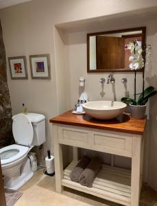 a bathroom with a sink and a toilet at Ikhaya Safari Lodge in Cape Town