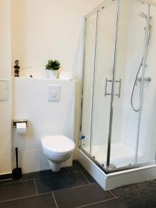a bathroom with a toilet and a shower at Modernes Apartment am Viktoria Luise Platz in Berlin
