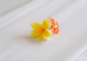 una flor amarilla sentada en la parte superior de un plato blanco en d'Sawah Amed Homestay & Warung en Amed