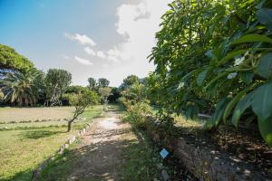 a path through a garden with trees and a field at Azienda Agrituristica Tenuta Pizzolungo in Erice
