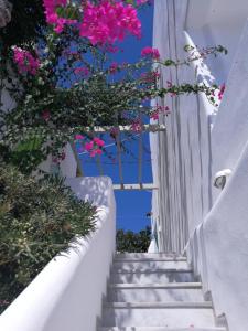 a stairway with pink flowers on a white building at Vrohaki Studios & Rooms in Piso Livadi