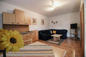 ein Wohnzimmer mit einem Sofa und einem Tisch in der Unterkunft Gästehaus Finklacke in Apetlon