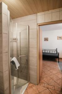 a shower with a glass door in a bathroom at Gästehaus Finklacke in Apetlon