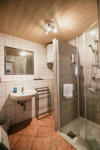 ein Bad mit einem Waschbecken und einer Dusche in der Unterkunft Gästehaus Finklacke in Apetlon