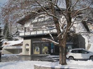Appartementhaus Winter v zime