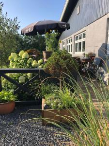 Afbeelding uit fotogalerij van Molino in Bønnerup Strand