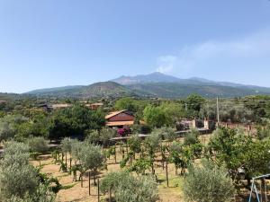 Príroda v okolí of the bed and breakfast