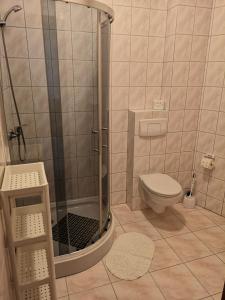 a bathroom with a shower and a toilet at Hotel Duka in Warsaw